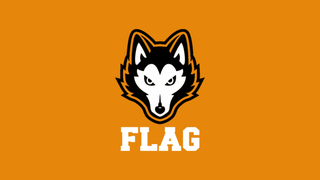 Harlem Flag Football Logo